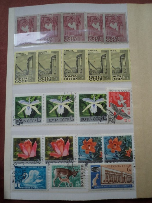 TIMBRE CLADIRI,FLORA ,FAUNA