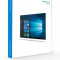 Microsoft Windows 10 Home, 64 bit, Engleza, OEM, DVD