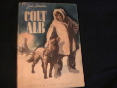 COLT ALB-JACK LONDON-183 PG- foto