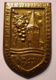 I.755 INSIGNA GERMANIA POMPIERI KREISVERBANDSTAG NIEDERDOLLENDORF 1965 h47mm