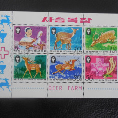 Bloc timbre fauna animale stampilat Coreea de Nord timbre filatelice postale