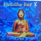 Buddha-Bar X by Ravin (dublu CD sigilat)