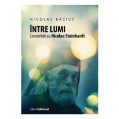 Intre lumi. Convorbiri cu Nicolae Steinhardt foto