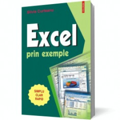 Excel prin exemple foto