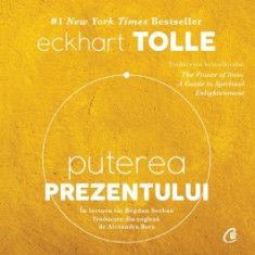 Puterea prezentului (audiobook) foto