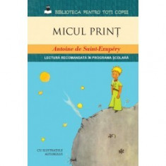 Micul print foto