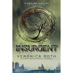 Insurgent (Divergent vol 2) foto