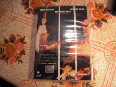 DVD original PURGATORY FLATS - Brian Austin Green (2003) foto