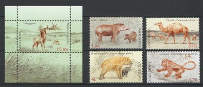 MOLDOVA 2016 FAUNA ANIMALE SALBATICE foto