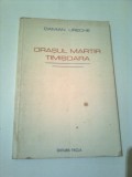 ORASUL MARTIR TIMISOARA ~ DAMIAN URECHE