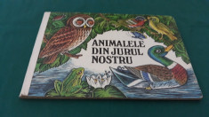 ANIMALELE DIN JURUL NOSTRU/ IRENE GEILING/ 1985 foto