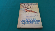 URMELE ANIMALELOR SALBATICE/ C. ROSETTI-BALANESCU/ 1961 foto