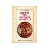 Ioan Chindriș - Chipuri din hronicul neamului