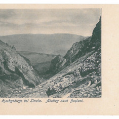 859 - SINAIA, Busteni, Romania, Mountain - old postcard - unused