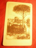 Carte Postala - Roma - Colosseum , interbelica