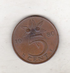 bnk mnd Olanda 5 cent 1980 foto