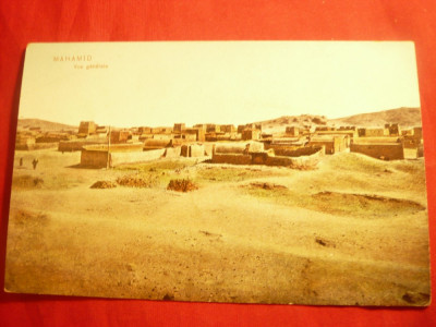 Ilustrata - Mahamid - Desert in Sinai , inc.sec.XX foto