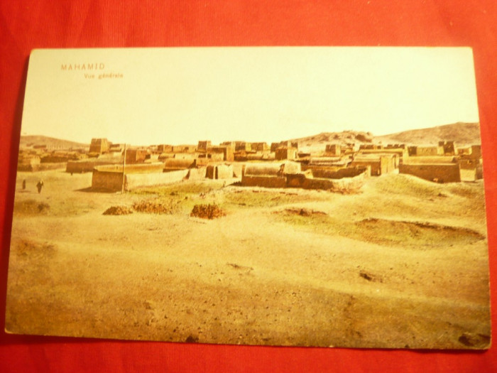 Ilustrata - Mahamid - Desert in Sinai , inc.sec.XX