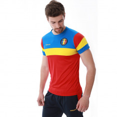 Tricou pentru barbati, model romania, editie aniversara, 100 de ani, slim fit - ES5RO18S2 foto