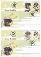 ROMANIA 2012 LP 1949 RASE DE CAINI FDC foto