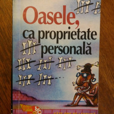 Oasele, ca proprietate personala - Valentin Silvestru / R3P4S