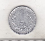 Bnk mnd Polonia 1 zlot 1982, Europa