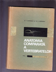 ANATOMIA COMPARATA A VERTEBRATELOR VOL 1 foto