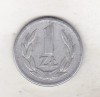 Bnk mnd Polonia 1 zlot 1966, Europa