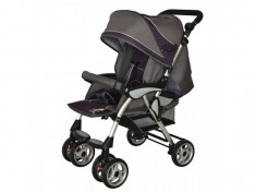 Carucior sport DHS Spring Violet foto