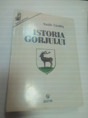 ISTORIA GORJULUI - VASILE CARABIS foto