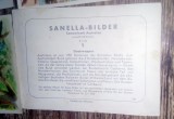 Cumpara ieftin LOT 79 BUC/ SET CARTI POSTALE / CARTONASE VECHI SANELLA BILDER AUSTRALIEN
