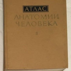 Atlasul Anatomiei Omului (????? ???????? ????????) vol II, de R.D. Sinelnikov foto