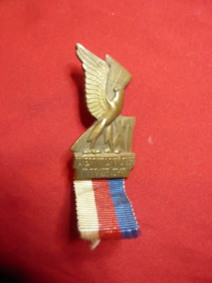 Insigna -A 11a Aniversare -Festivalul Sokol Praga 1948 ,bronz si panglica ,h=4,5 foto