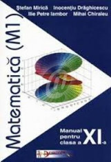 Matematica. Manual pentru clasa a XI-a, M1 foto