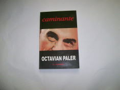 CAMINANTE OCTAVIAN PALER foto