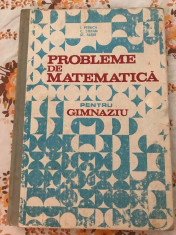 Probleme de matematica pentru gimnaziu I. Petrica foto