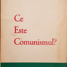 HORIA SIMA CE ESTE COMUNISMUL? EDITURA DACIA MADRID 1972 MISCAREA LEGIONARA 152