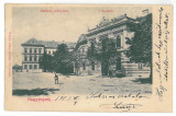3278 - AIUD, Alba, High School, Romania - old postcard - used - 1903