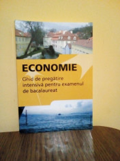 Economie-Ghid de pregatire Bacalauret 2019, Fl. Pana, G. Hacman, Ed. Nomina foto