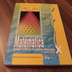 MATEMATICA TRUNCHI COMUN SI CURRICULUM DIFERENTIAT MANUAL CLASA X 2017