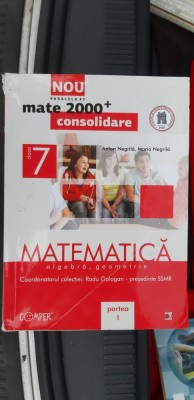 MATEMATICA ALGEBRA GEOMETRIE CLASA A VII A PARTEA I - NEGRILA foto