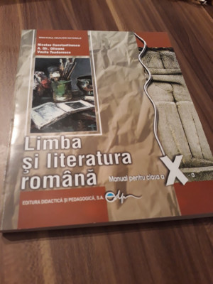 LIMBA SI LITERATURA ROMANA MANUAL CLASA X NICOLAE CONSTANTINESCU 2017 foto