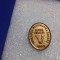 Insigna Soc. numismatica Sectia Caracal 1986