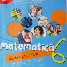 MATEMATICA ALGEBRA GEOMETRIE CAIET DE LUCRU PARTEA I - CLASA A VI A ,PELIGRAD