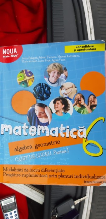 MATEMATICA ALGEBRA GEOMETRIE CAIET DE LUCRU PARTEA I - CLASA A VI A ,PELIGRAD
