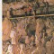 bnk cp Pestera Ursilor - Chiscau ( Jud Bihor ) - circulata
