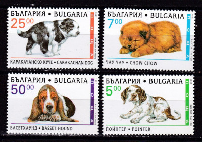 Bulgaria 1997 fauna caini MI 4265-4268 MNH foto