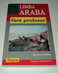Limba araba fara profesor, Boutros Hallaq, editura Teora 2002 foto