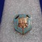 Insigna Colectia Rebedea Miron