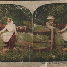 Foto stereo ,vedere de la tara ,tineri.